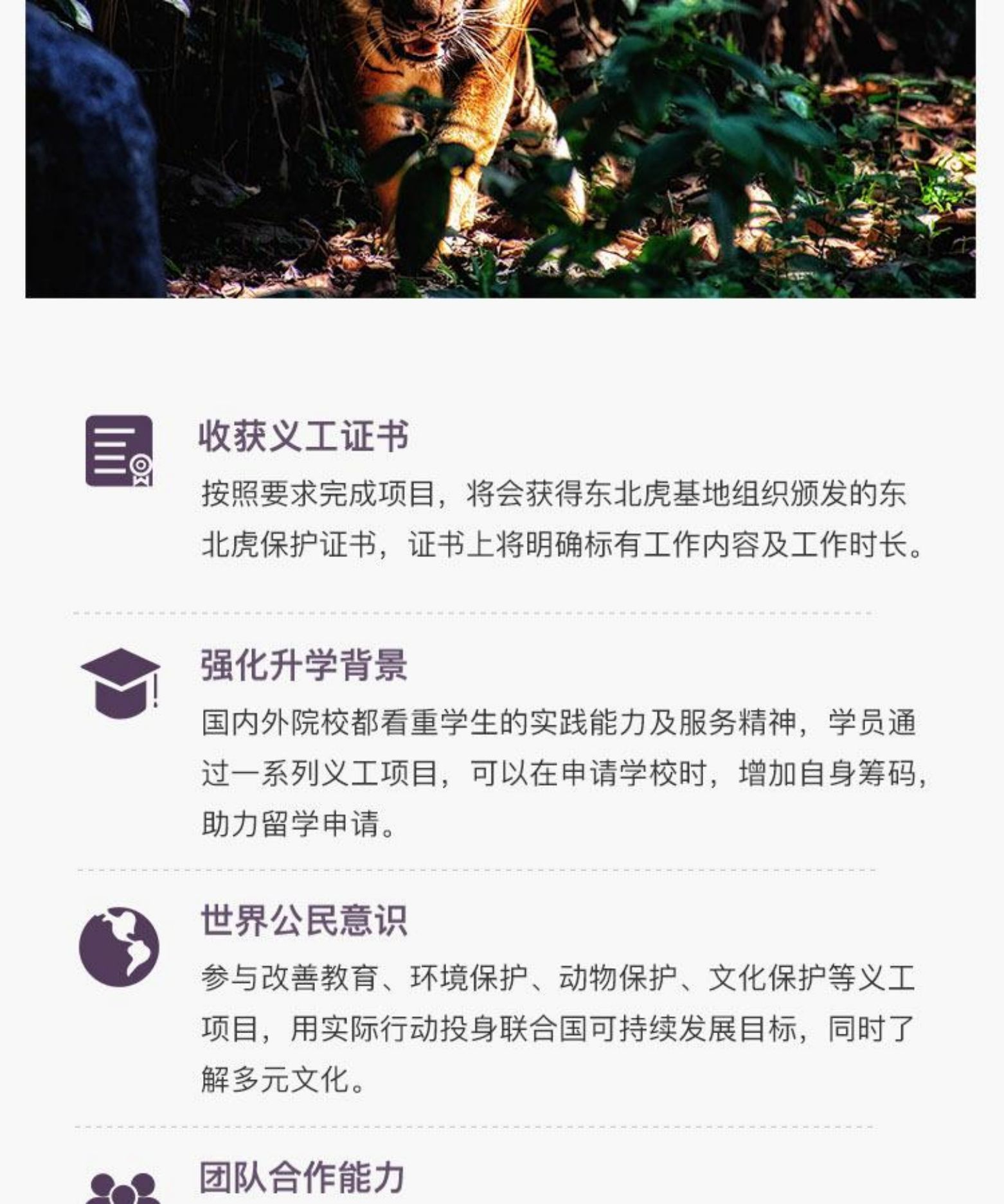 湖南长沙5天4晚，动物保育，我们一直在行动！
