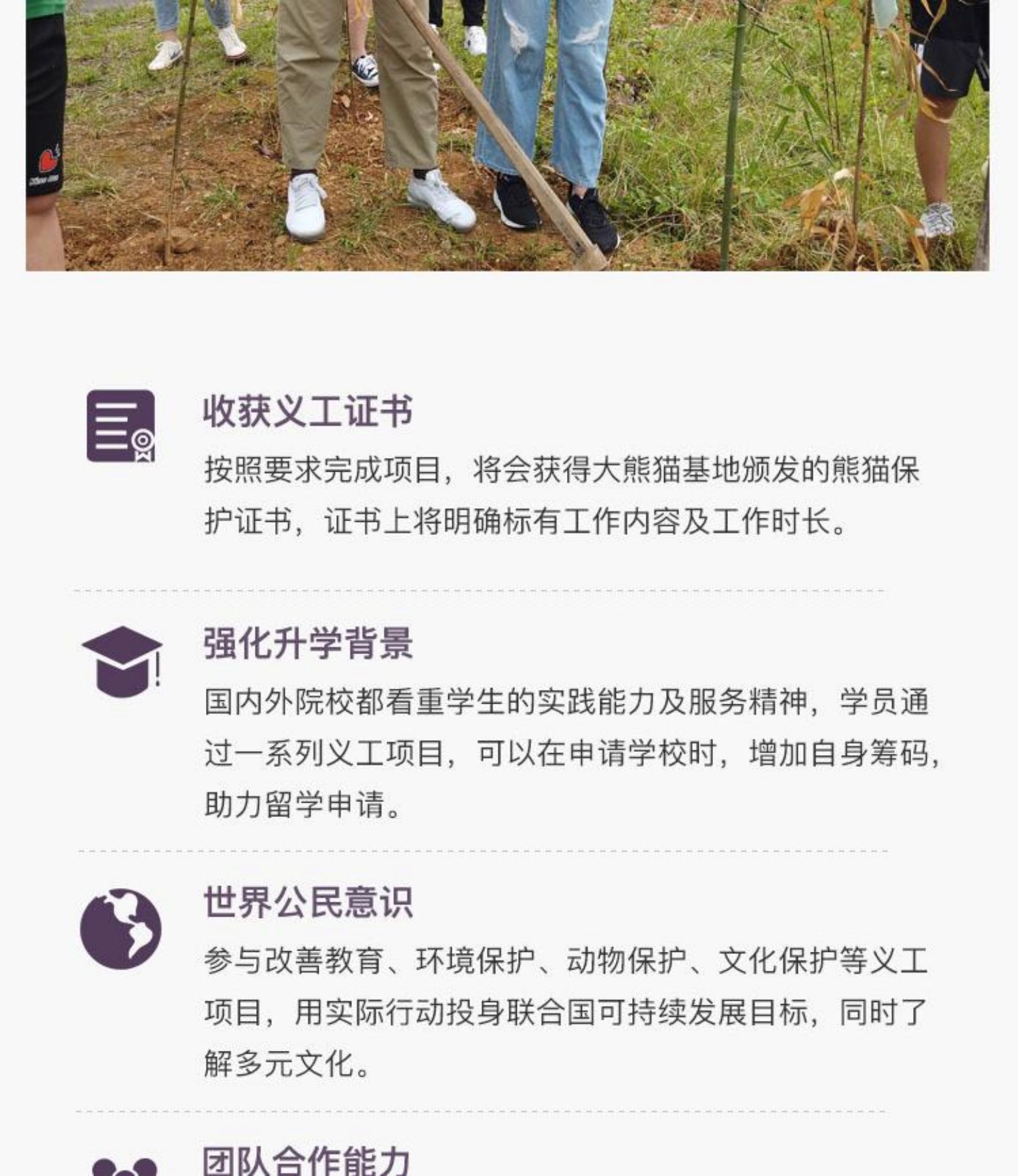 四川成都5天4晚，亲自喂食、照顾萌炸天的大熊猫！是怎样一种神仙工作？