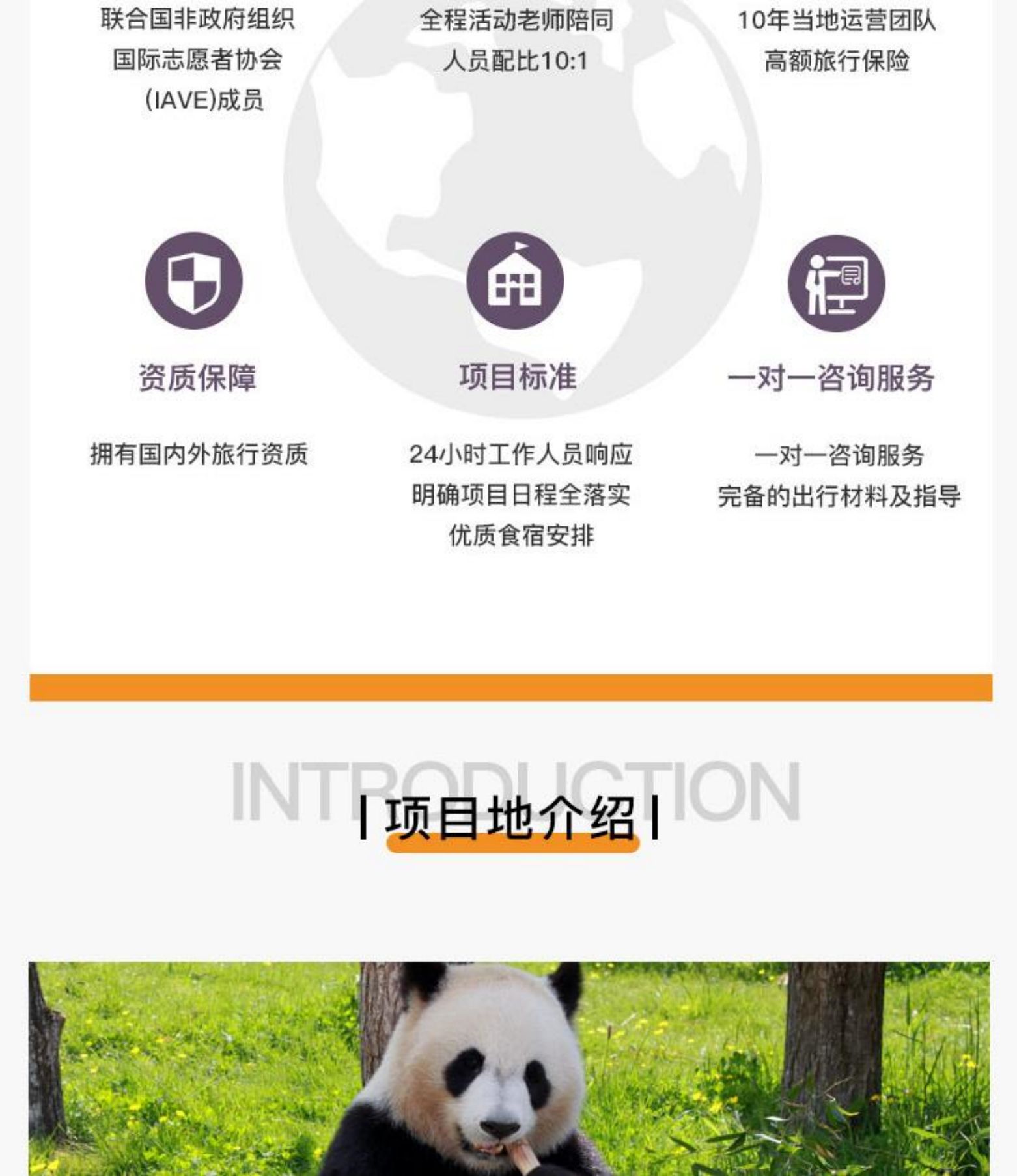 四川成都5天4晚，亲自喂食、照顾萌炸天的大熊猫！是怎样一种神仙工作？