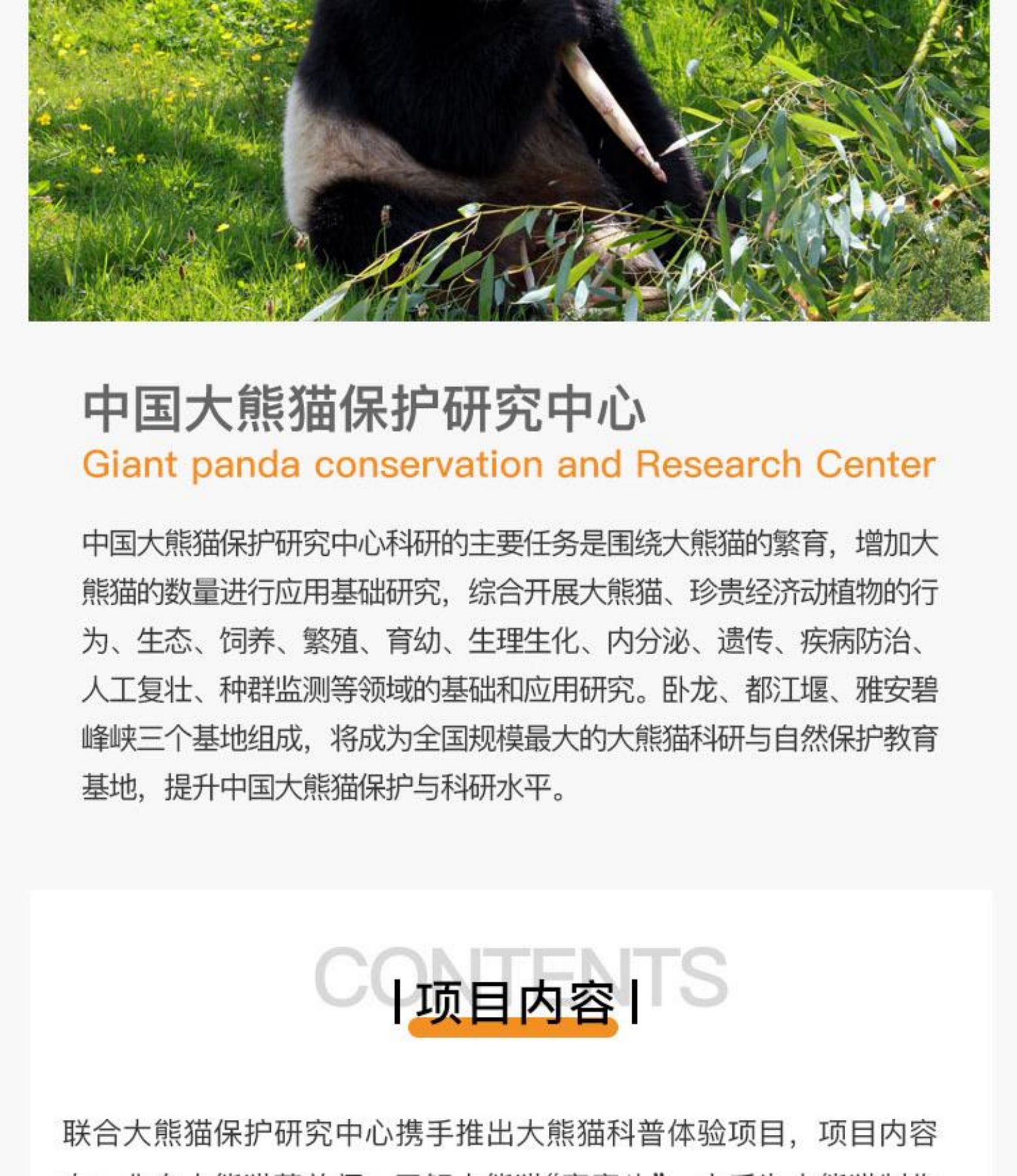 四川成都5天4晚，亲自喂食、照顾萌炸天的大熊猫！是怎样一种神仙工作？