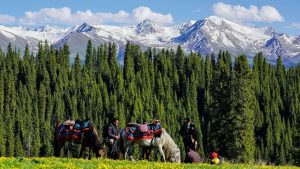 暑期招募·新疆伊犁丨 中国最美最梦幻的夏天在这里！