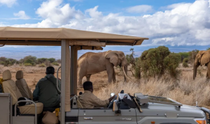 暑期招募·肯尼亚 | 仅此一期！参与部落社区公益援...