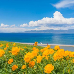 新疆伊犁 7天6晚，在雪国北疆，许孩子们一场冬日之梦～