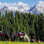 新疆伊犁 7天6晚，在雪国北疆，许孩子们一场冬日之梦～