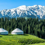 新疆伊犁 7天6晚，在雪国北疆，许孩子们一场冬日之梦～