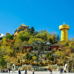 香格里拉 | 仅此两期！同孩子们一起奔赴“心中的日月”