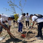 青海敦煌穿越大西北：环保与非遗的绝美融合，让你的瞳孔为之一震！