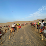 青海敦煌穿越大西北：环保与非遗的绝美融合，让你的瞳孔为之一震！