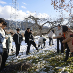 日本6天5晚开启一场链接自然的旅行，成为地球守卫者