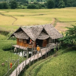 清迈6天5晚，给小朋友一个有梦的未来，让每一堂课都成为特别的陪伴！