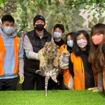 湖南长沙5天4晚，动物保育，我们一直在行动！