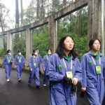 四川成都5天4晚，亲自喂食、照顾萌炸天的大熊猫！是怎样一种神仙工作？