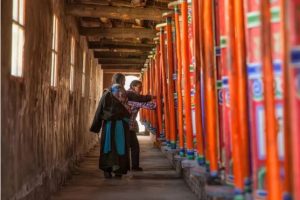 寒假招募·香格里拉 | 仅此一期！同孩子们一起奔赴“...