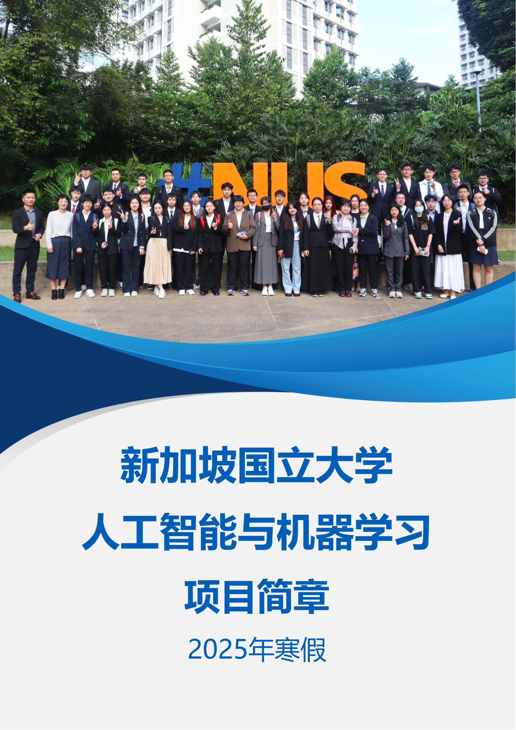 新加坡国立大学—人工智能与机器学习项目简章