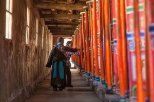 寒假招募·香格里拉 | 仅此一期！同孩子们一起奔赴“...