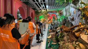 寒假招募 · 湖南长沙 | 动物保育，我们一直在行动！