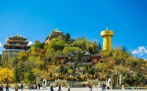 寒假招募 · 西双版纳 | 西双版纳从边境支教到非遗...