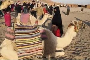 寒假招募 · 埃及 | 去一生必去旅行目的地，赴一场...