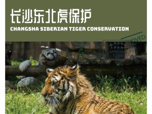 湖南长沙5天4晚，动物保育，我们一直在行动！