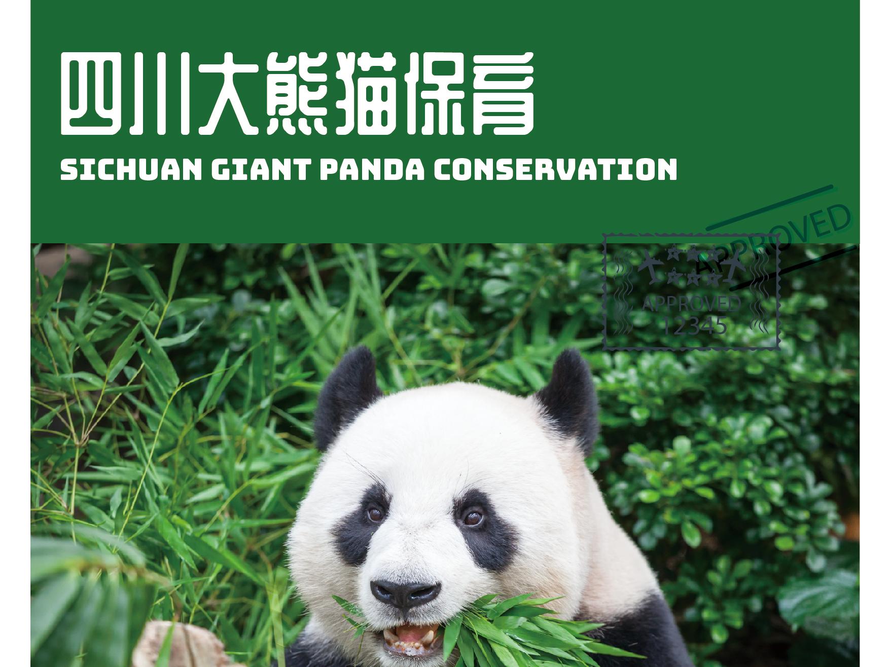 四川成都5天4晚，亲自喂食、照顾萌炸天的大熊猫！是怎样一种神仙工作？