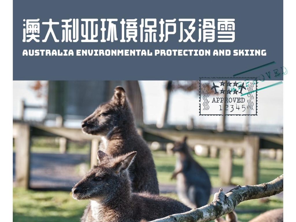 澳大利亚8天6晚去墨尔本做国际义工！看沙漠海滩、...