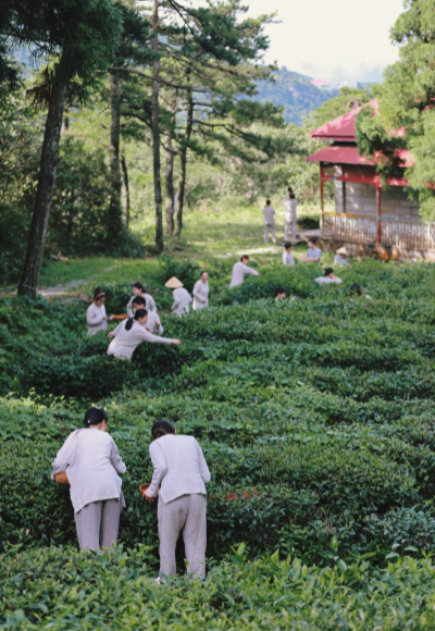 主题研学