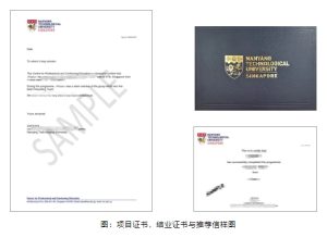 新加坡&middot;访学项目 | 新加坡南洋理工大学传染病、生物化学与健康科学项目热度不减！（images 8）